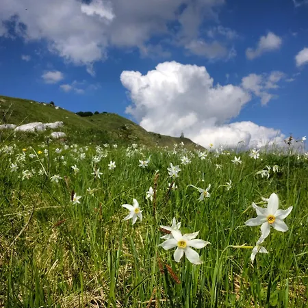 Apartmanhotel Ai Priori 3*