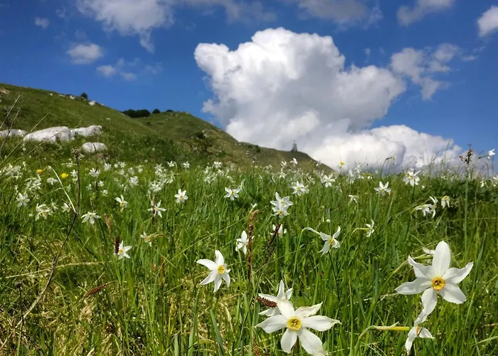 شقة فندقية Ai Priori 3*